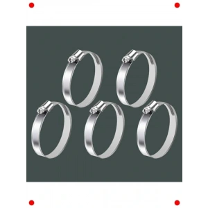 5li Tork Ayarlı Paslanmaz Hortum Kelepçesi (25-42mm)