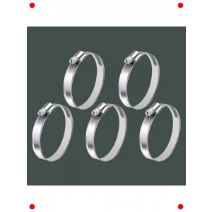 5li Tork Ayarlı Paslanmaz Hortum Kelepçesi (25-42mm)