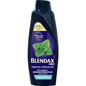 500 ml Nane Özlü Ferahlatıcı Erkek Şampuanı