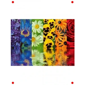 500 Parça Çiçek Yansıma Puzzle, Çok Renkli