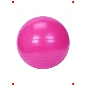 55 cm Pilates ve Egzersiz Topu - Poşetli