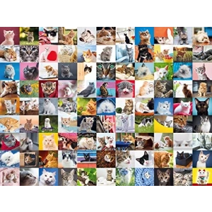 99 Kedi Temalı 1500 Parça Puzzle