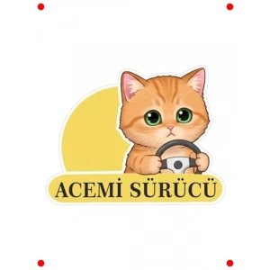 Acemi Sürücü Kedi Araba Etiketi - Çok Renkli