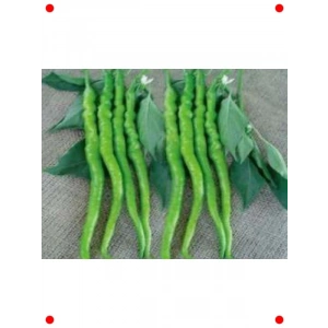 Acıkıl Fırat Biber Tohumu (10 gr)