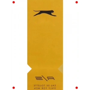 Active Gold  Erkek Parfüm 125 ml