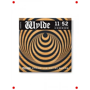 Akustik Gitar Teli Seti (11-52)