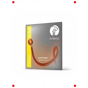 Akustik Gitar Teli Takımı (010-047 SL)