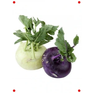 Alabaş Kolhrabi Tohumu - Çıtır ve Farklı Lezzet