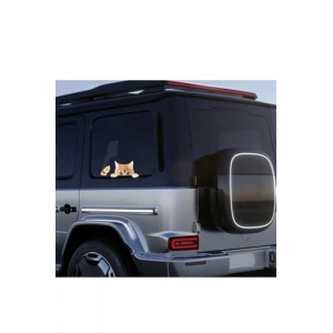 Araba Sticker, Dışarı Bakan Sarman Kedi Tasarımı