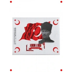 Ay Yıldızlı Türk Bayrağı 70x105 cm