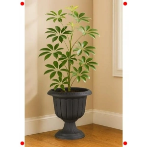 Ayaklı Plastik Saksı 6L 30cm - Antrasit