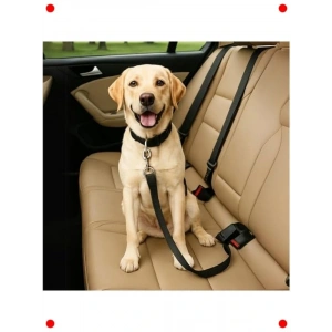 Ayarlanabilir Evcil Hayvan Araç Emniyet Kemeri