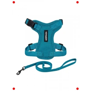 Ayarlanabilir Kedi Tasması & Gezdirme Seti - Turkuaz