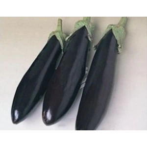 Aydın Tohumu Patlıcan, 10 gr