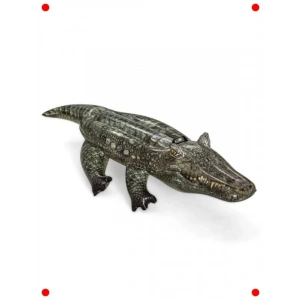 Bebek ve Plaj Havuzu