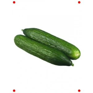 Beith Alpha Salatalık Tohumu (İthal, 5 Gram)