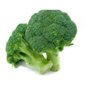 Brokoli Tohumu - Aksel 100 adet