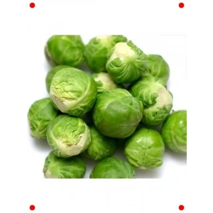 Brüksel Lahanası Tohumu