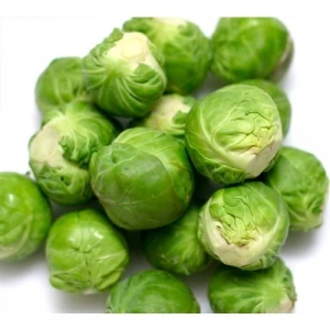 Brüksel Lahanası Tohumu, Bahçe için