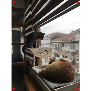 Büyük Boy Ahşap Vantuzlu Cam Kedi Yatağı - Güneşlenme