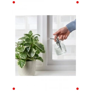 Cam Bitki Sulama Spreyi - 25 cl, 16 cm