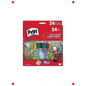 Canlı Renkler Kuru Boya Kalemi Seti - 24lü