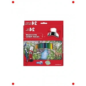 Canlı Renkler Kuru Boya Kalemi Seti - 24lü