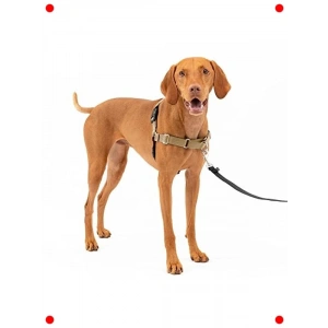 Çekmeyi Önleyen Köpek Koşum Takımı - Rahat Yürüyüş