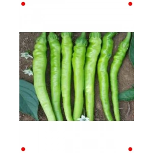 Çetinel Biber Tohumu - Yüksek Verimli - 10 gram