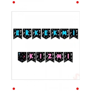 Cinsiyet Belirleme Partisi Dekorasyonu