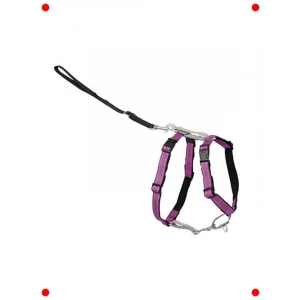 Çok Fonksiyonlu Köpek Koşum Takımı (M Boyut)