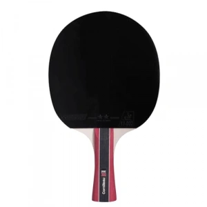 Cornilleau Sport 300 ITTF Onaylı Masa Tenisi Raketi