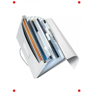 Dayanıklı Proje Dosyası - Canlı Renk