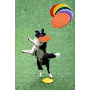 Dayanıklı silikon frizbi köpek oyuncağı, 17.5 cm