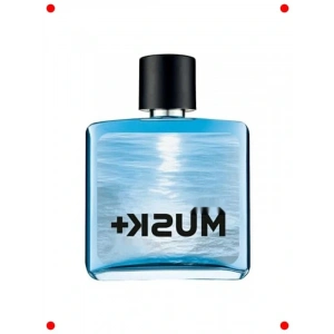 Deniz Esintili Kalıcı Erkek Parfümü 75ml