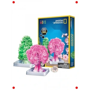 di Kristal Bahçenizi Yaratma Kiti