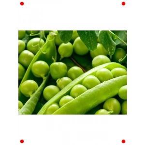 Doğal Bezelye Tohumu (Araka)