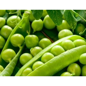 Doğal Bezelye Tohumu, Araka