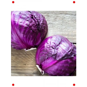 Doğal Kırmızı Lahana Tohumu