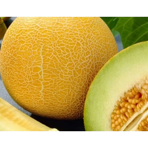 Doğal lia Kavun Tohumu