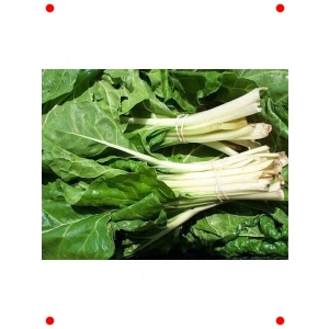 Doğal Pazı Tohumu - Sağlıklı ve Lezzetli