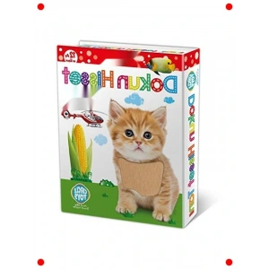 Dokun Hisset Tanı Eğitim Kartları - Zeka lişimi