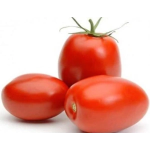 Domates Rio Tohumu - Aksel 10 gr