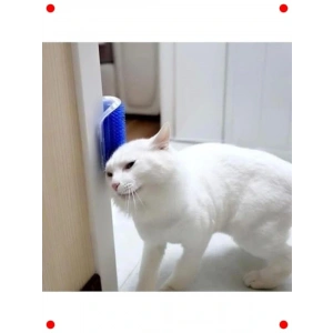 Duvara Monte Edilebilir Kedi Kaşınma ve Taranma Aparatı