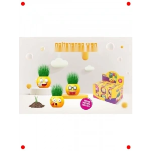 Eğitici Emoji Çim Adam Yetiştirme Seti (6lı)