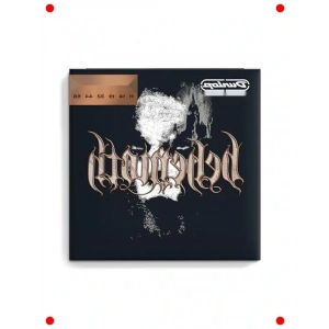 Elektro Gitar Teli Seti (11/56)