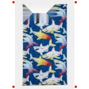 Erkek Çocuk Renkli Baskılı Plaj Havlusu