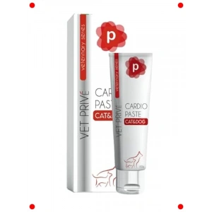 Evcil Hayvanlar İçin Kalp Desteği Pastası 100 Gr