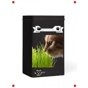 Evde Kolay Kedi Çimi Yetiştirme Kiti - Yıl Boyu Yeşillik!