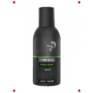 Ferah Fougere & Deniz Esintili Erkek Parfümü 100 ml